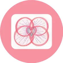 Sehoona-Happy Cells-hart
