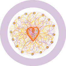 Sehoona-Happy Cells-maag