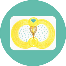 Sehoona-Happy Cells-nieren