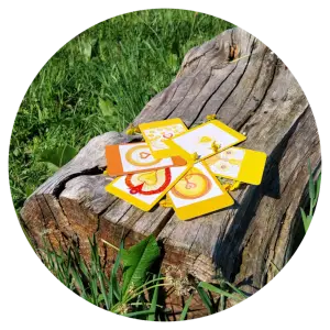 Sehoona transitiekaarten – Boek een sessie