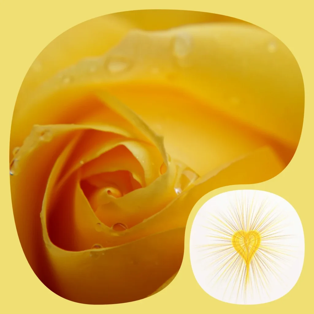 Transitiekaart Liefde zijn en gele roos als illustratie van de Sehoona lichtcirkel Liefde zijn