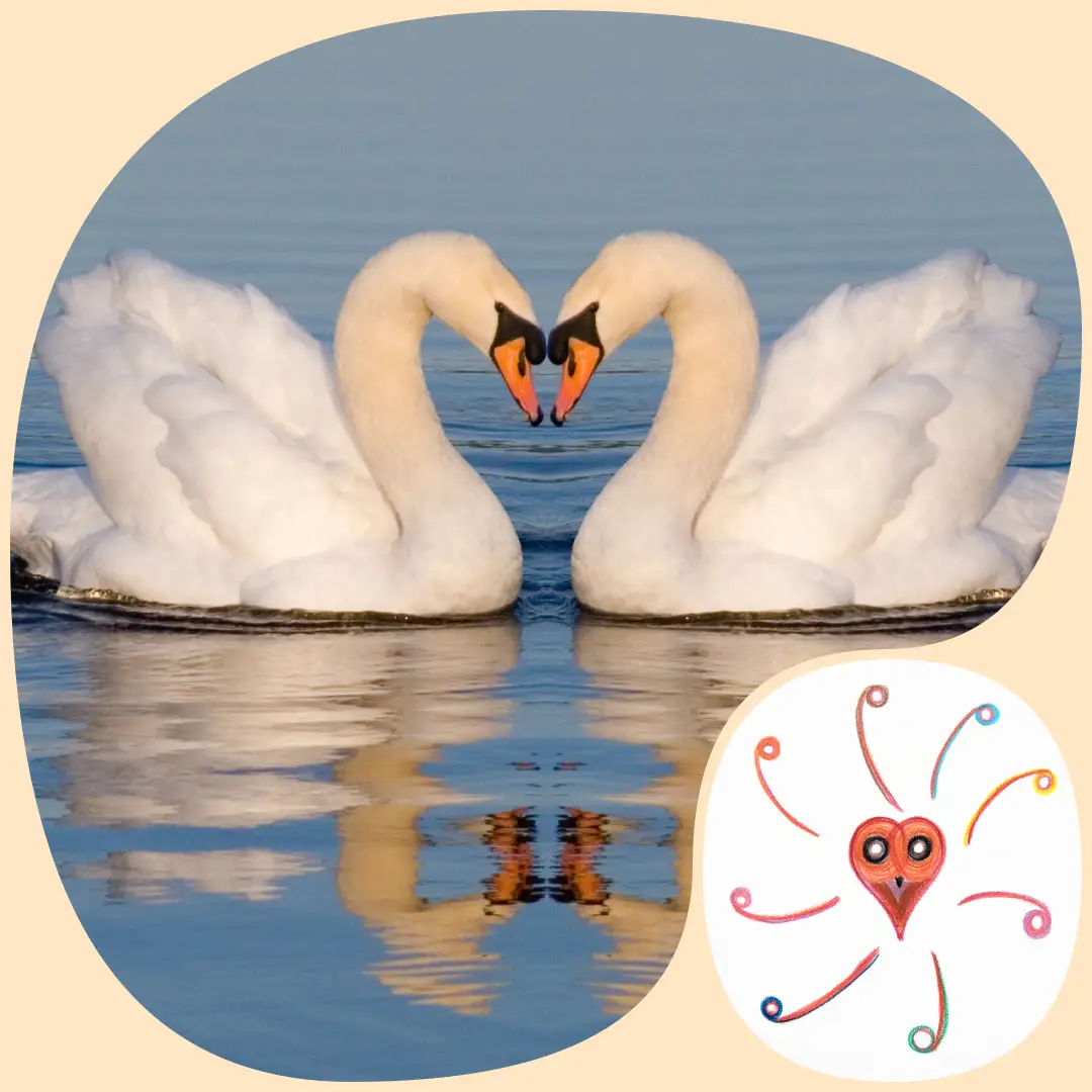 Transtieikaart Je schaduwkant en twee zwanen als illustratie van de Sehoona lichtcirkel Spiegels in relaties