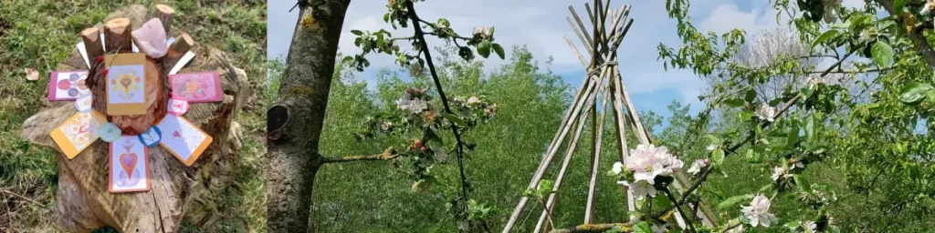 Transitiekaarten uitgestald op een boomstronk en een tipi met bloesems – Sehoona micro-sessies op afstand