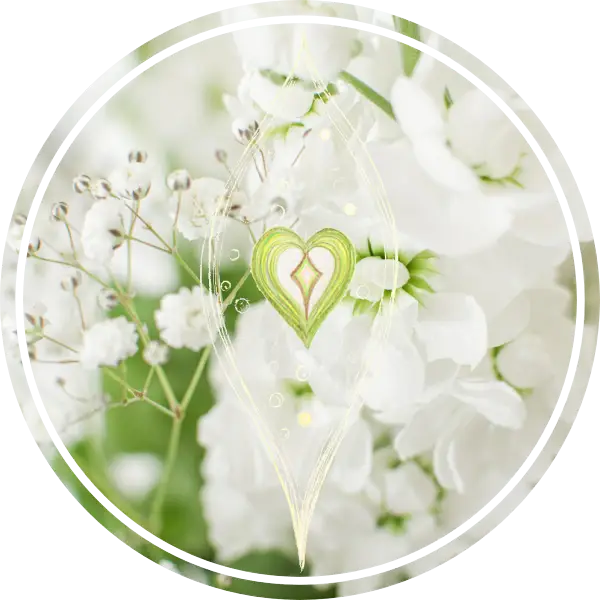 Sehoona opleiding – energetische zuivering en bescherming – witte bloemen en tekening Je Lichtvonk