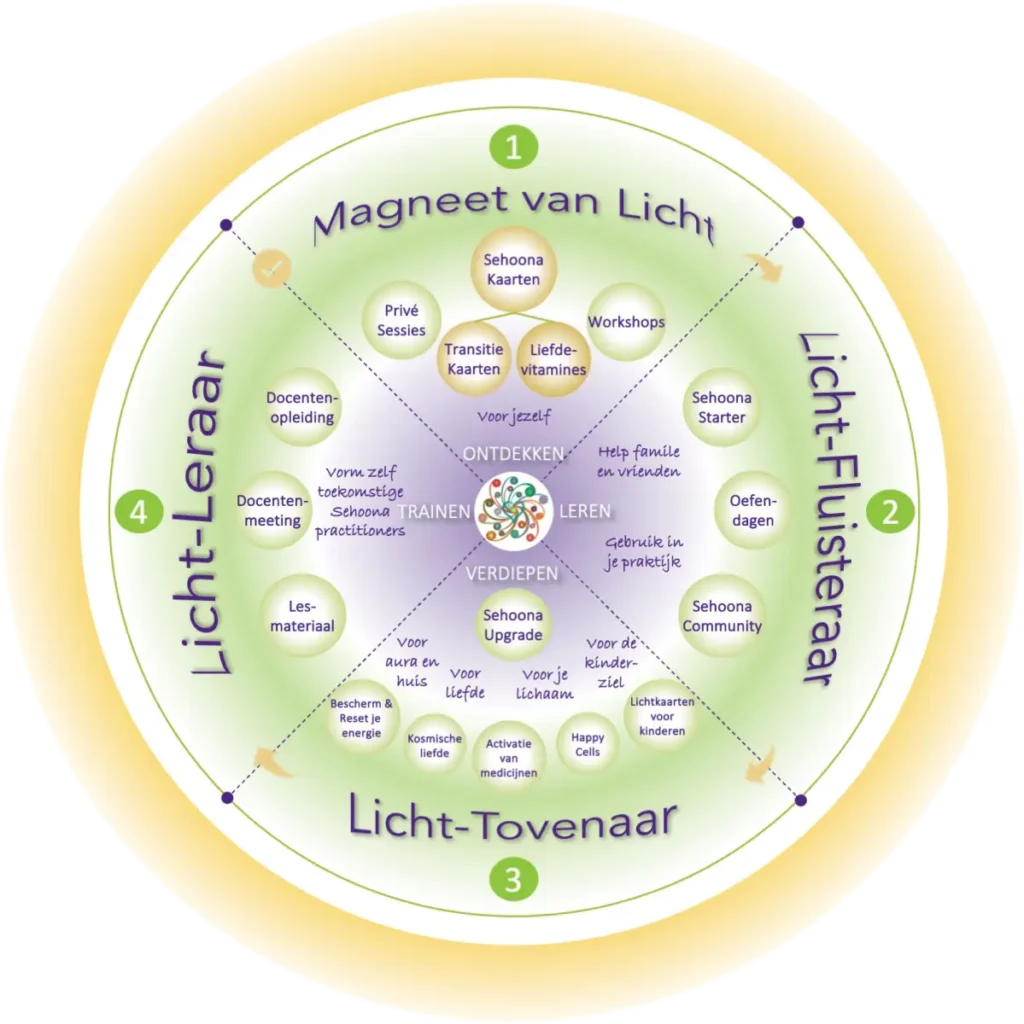 Diagram met de stappen van het Sehoona modulaire zelfhulpsysteem – visuele weergave van het aanbod