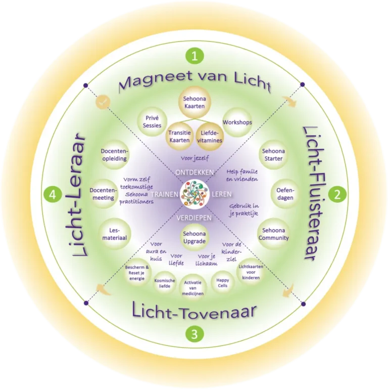 Diagram met de stappen van het Sehoona modulaire zelfhulpsysteem – visuele weergave van het aanbod